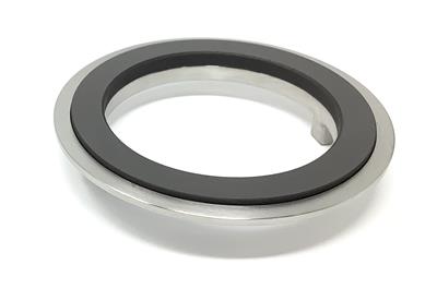 Inserted Carbon Seal Ring